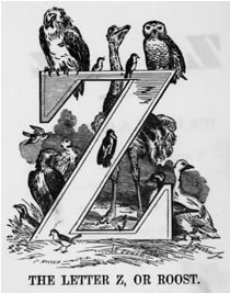 THE LETTER Z, OR ROOST