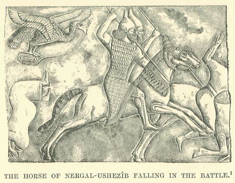 054.jpg the Horse of Nergal-ushez�b Falling in The
Battle 
